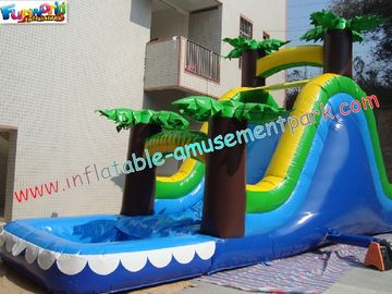 Childrens Outdoor Inflatable Water Slides for parties (amusement game, amusement park)