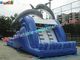 Dolphin Outdoor Inflatable Water Slides, Swimming Pool Slide With UL Blower