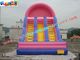 Popular Commercial Inflatable Slide Double Line , Giant Slide Toys