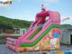 Cute Cat Commercial Inflatable Slide , Childrens Small Dry Slide Slip Inflatable