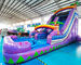 Carnival Adult Bounce House Outdoor Inflatable Water Slides