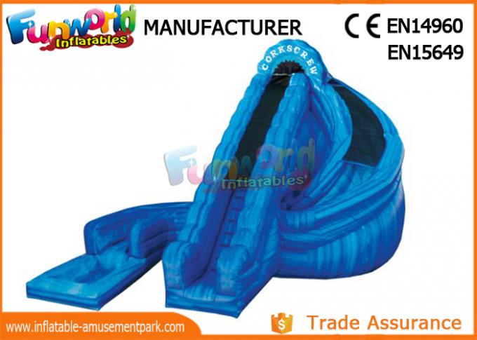 30ft inflatable water slide