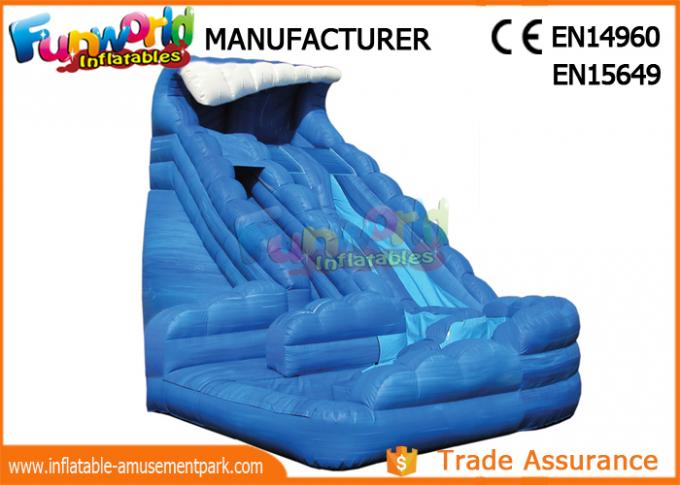 30ft inflatable water slide
