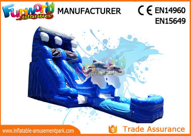 Attractive Blue Cartoon Outdoor Inflatable Water Slides For Kids and Adults
