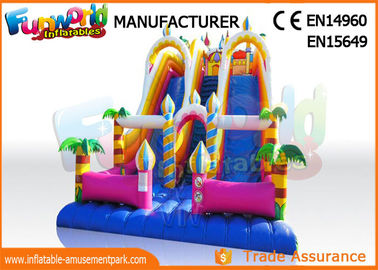 Giant Vinyl Commercial Inflatable Slide / Double Inflatable Playground Slide