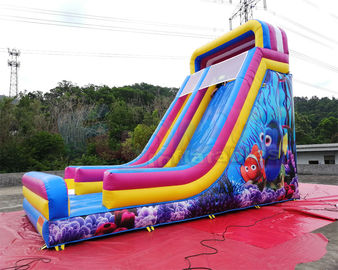 Waterproof Commercial Inflatable Slide / Nemo Inflatable Dry Slide