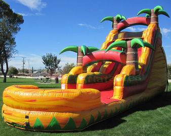 Multicolor Amusement Pool Full Printing Inflatable Water Slide