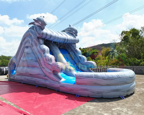 Water Park Plato Commercial Inflatable Slide With Pool