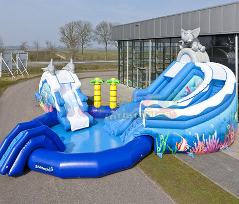 Amusement Park Inflatable Water Slide Pool Customized Size