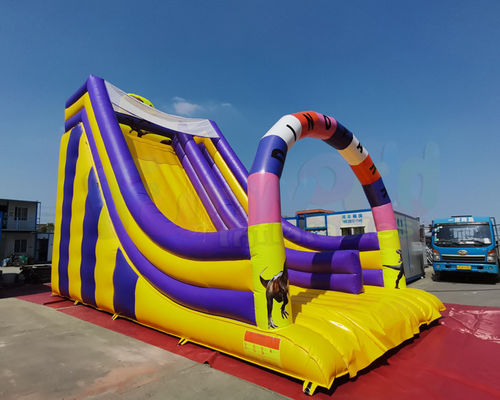 Playground Jumping Inflatable Slide Bouncer For Birthday Party