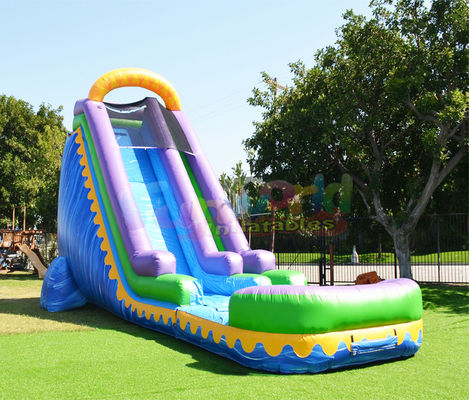 Custom Outdoor Inflatable Water Slides Kids Play Bouncy Castles