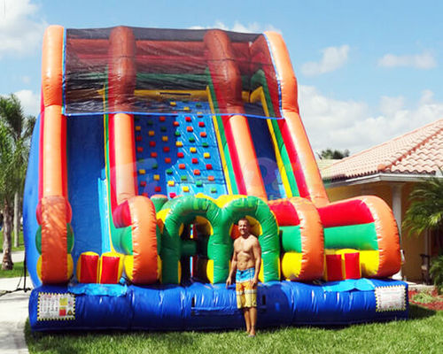 0.55mm PVC Tarpaulin Inflatable Bounce House Slide