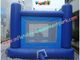 Small Dolphin Commercial Bouncy Castles , Inflatable Jumping House