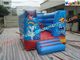 Commercial Inflatable Bounce Houses , Customized Bouncy Castles