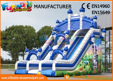 Large Inflatable Slip n Slide For Amusement Park / Birthday Party