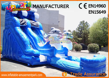 Attractive Blue Cartoon Outdoor Inflatable Water Slides For Kids and Adults