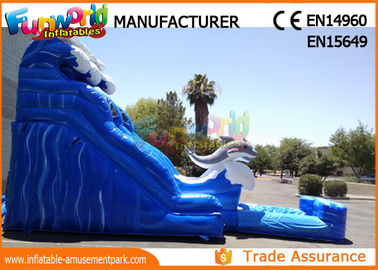 Attractive Blue Cartoon Outdoor Inflatable Water Slides For Kids and Adults