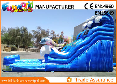 Attractive Blue Cartoon Outdoor Inflatable Water Slides For Kids and Adults