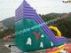 Colorful Commercial Inflatable Water , Giant Inflatable Race Slide For Children