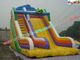 Customized Commercial Inflatable Water , Giant Inflatable Jumper Slide Toys