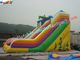 Customized Commercial Inflatable Water , Giant Inflatable Jumper Slide Toys