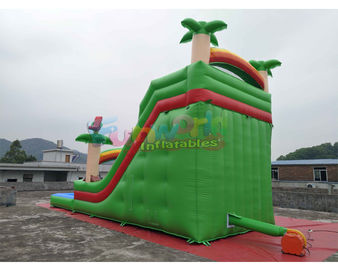 Pvc Tarpaulin Kids Inflatable Water Slide With Pool / Commercial Bounce House Water Slide