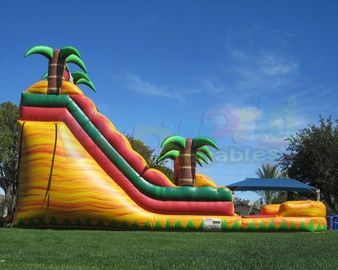 Multicolor Amusement Pool Full Printing Inflatable Water Slide