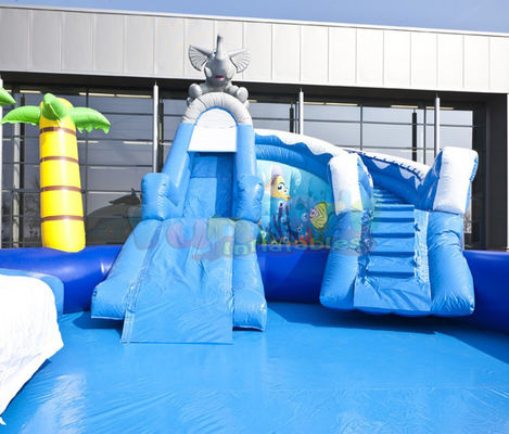 Amusement Park Inflatable Water Slide Pool Customized Size