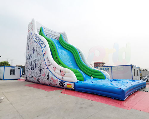 Adult Bouncer Castle Outdoor Inflatable Water Slides With Pool