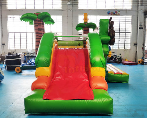 Commercial Bouncy Castle Inflatable Water Slide With Pool