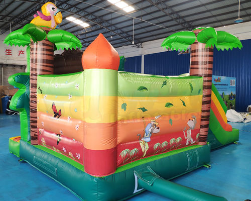 Commercial Bouncy Castle Inflatable Water Slide With Pool