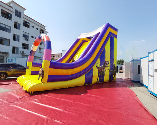 Playground Jumping Inflatable Slide Bouncer For Birthday Party