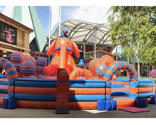 Commercial Zoo 0.55mm PVC Inflatable Bounce Houses