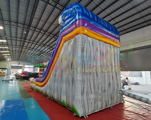 Adult Outdoor Inflatable Water Slides Palm Tree Jumping Bouncy Castle