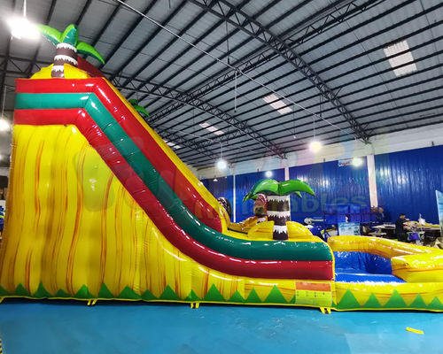 ODM Jumping Bounce House Inflatable Water Slide With Pool