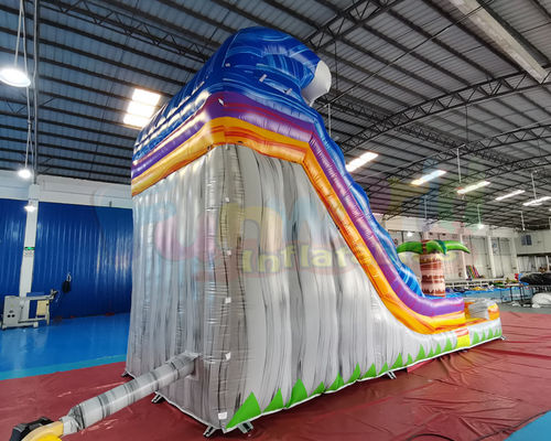 Adult Outdoor Inflatable Water Slides Palm Tree Jumping Bouncy Castle