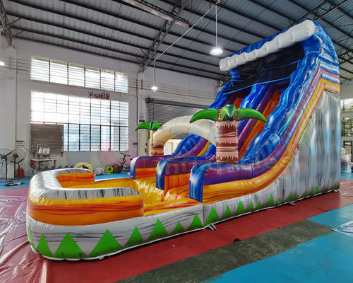 Adult Outdoor Inflatable Water Slides Palm Tree Jumping Bouncy Castle