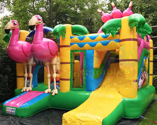 ROHS Pirate Inflatable Bouncy Castle Bounce House Combos