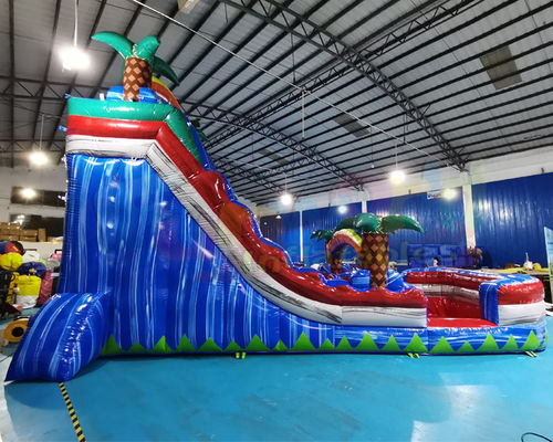 Outdoor Palm Tree Bounce House Blow Up Pool Slide