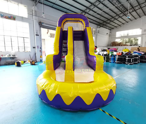 Adult Bouncy Bouncer Outdoor Inflatable Water Slides With Pool