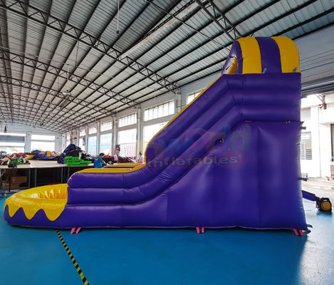 Adult Bouncy Bouncer Outdoor Inflatable Water Slides With Pool