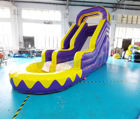 Adult Bouncy Bouncer Outdoor Inflatable Water Slides With Pool