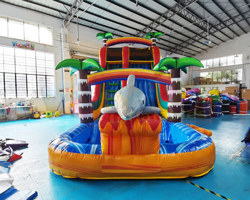 OEM Multi Color Outdoor Inflatable Water Slides For Backyard