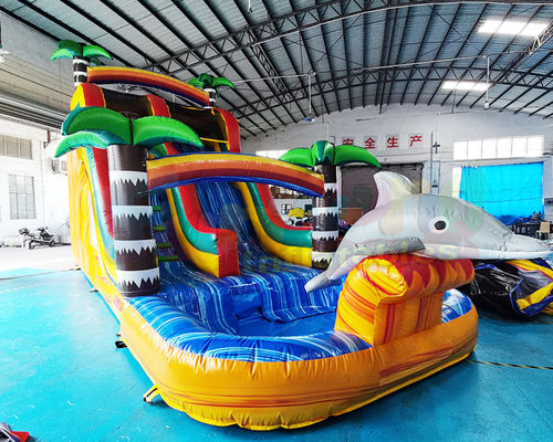 OEM Multi Color Outdoor Inflatable Water Slides For Backyard