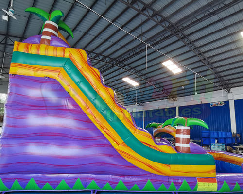 Playground Bounce House Inflatable Water Slide With Pool