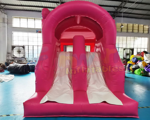 Frozen Double Slide Bounce House Combos Inflatable Bouncer