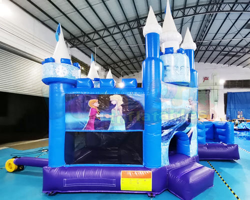 SGS Inflatable Frozen Jumping Bouncy Castle For Gardens