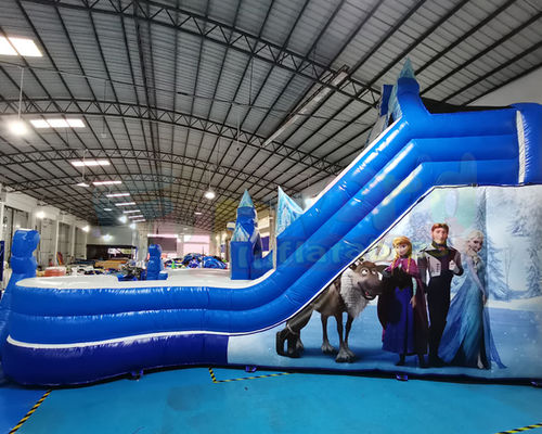 Frozen Double Jumping Bouncer Inflatable Water Slide With Pool