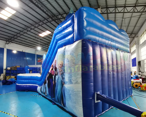 Frozen Double Jumping Bouncer Inflatable Water Slide With Pool