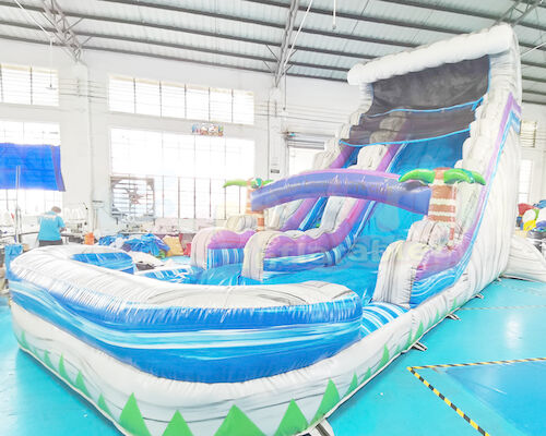 Multi Color 0.55mm PVC Outdoor Inflatable Water Slides